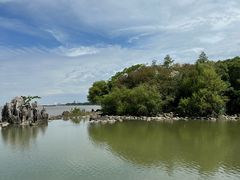 -上海吴淞炮台湾国家湿地公园