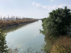 -芒洲湿地公园