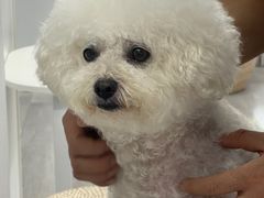 -康乐宝动物医院