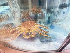 -海底捞大排档火锅(打浦路店)