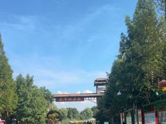 -泗洪洪泽湖湿地景区