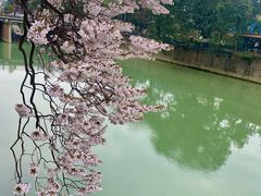 -红星桥(地铁站)