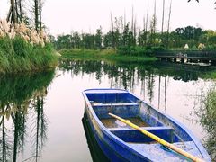 -白鹭湾湿地公园