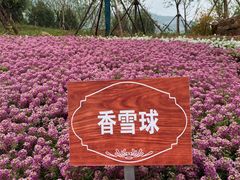 -佛慧山