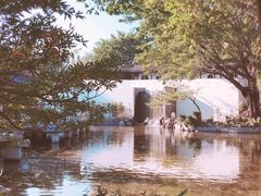 -九龙寨城公园