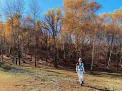 -塞罕坝国家级自然保护区