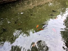 -济南大明湖景区