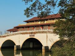 -大湾区中央湿地公园