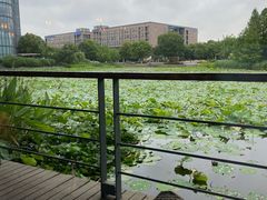 荷花-3W咖啡(国家软件园店)