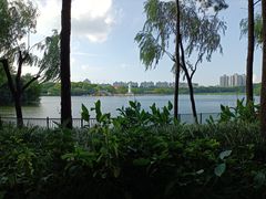-黄兴公园