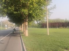 -瀛海足球主题公园