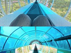 -盈香心动乐园