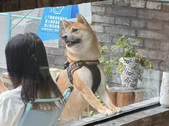 -BE YOLO必有乐&小红帽三明治