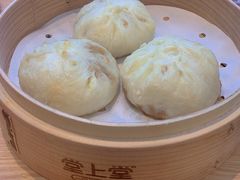 新鲜猪肉包-堂上堂(益民街店)