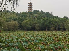 -天下玉苑