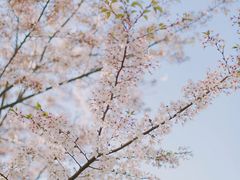 -龙美术馆(西岸馆)