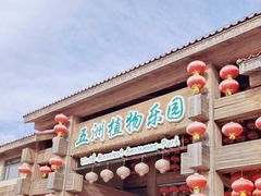 -南宫五洲植物乐园