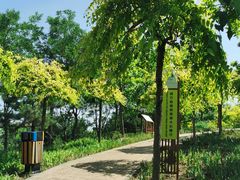 -东郊湿地公园