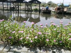 -小陆莲花蟹园农家乐(莲花岛店)