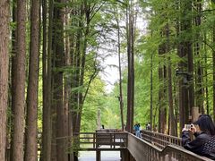-青山湖景区