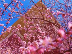-吉林大学(前卫南区)