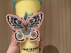 -雅克雅思(浦口弘阳广场店)