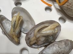 -望海臻鲜·海鲜餐厅