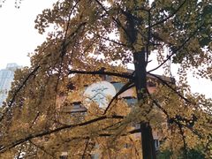 -成都市活水公园