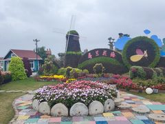-荷兰花海