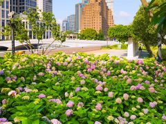 -LE JARDIN de Joel Robuchon(新世界大丸百货店)