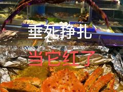 -辉记炭烧海鲜大排档·老字号(福田店)