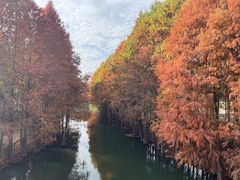 -厦门园林博览苑