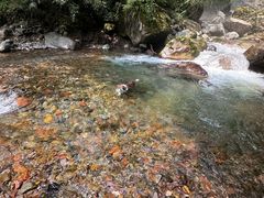 -西岭雪山大飞水景区