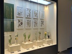 -广东中医药博物馆