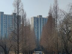 -莱西月湖公园