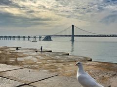 -星海湾跨海大桥