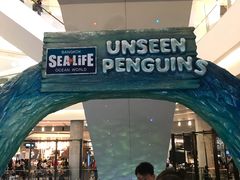 -暹罗海洋世界