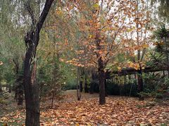 -泰安地下龙宫景区