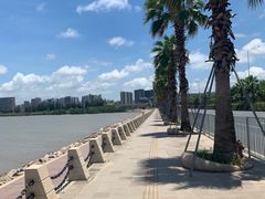 -宝安西湾红树林湿地公园