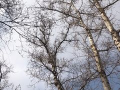 -百里山水画廊