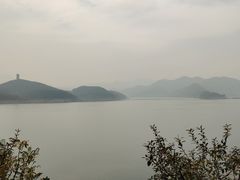 -望湖烤鱼