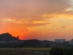 -光明小镇欢乐田园