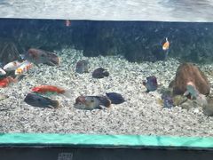 -常州海昌海洋探索馆