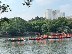 -荔湾湖公园