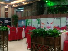 大堂-鹊华居·地道鲁菜·海鲜·融合味(大明湖店)