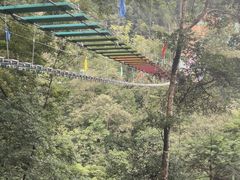 -龙岩森林水乡景区