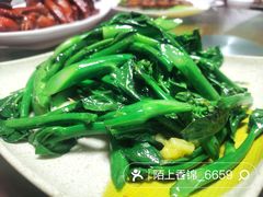 -东鸽皇(奥园·中环广场店)