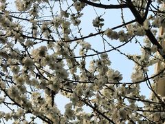 -龙湖星悦荟(颐和店)