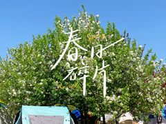 -上海辰山植物园