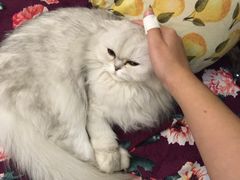 -广州迷途主题旅馆(海珠广场店)